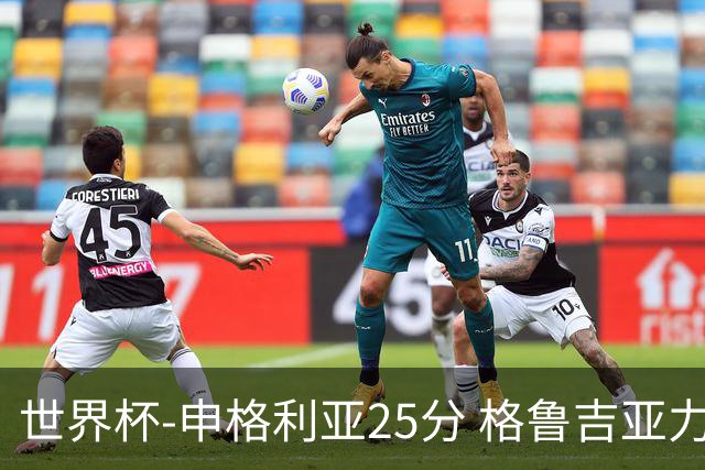 世界杯-申格利亚25分 格鲁吉亚力克委内瑞拉
