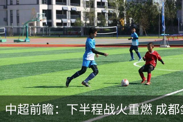 中超前瞻：下半程战火重燃 成都剑指三分申花求反弹