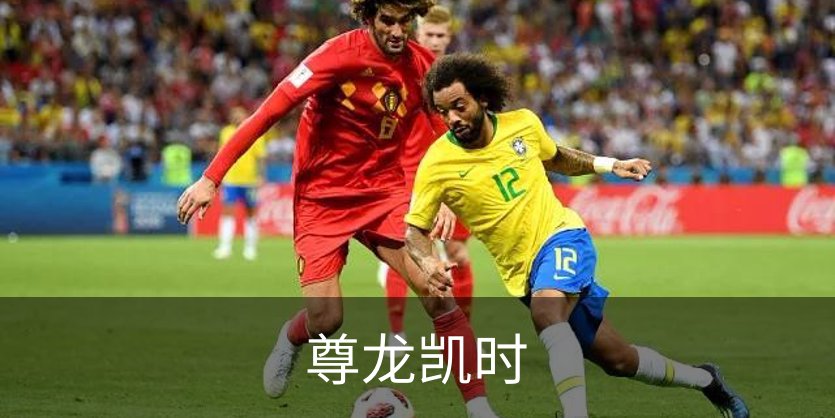 走进尊龙凯时